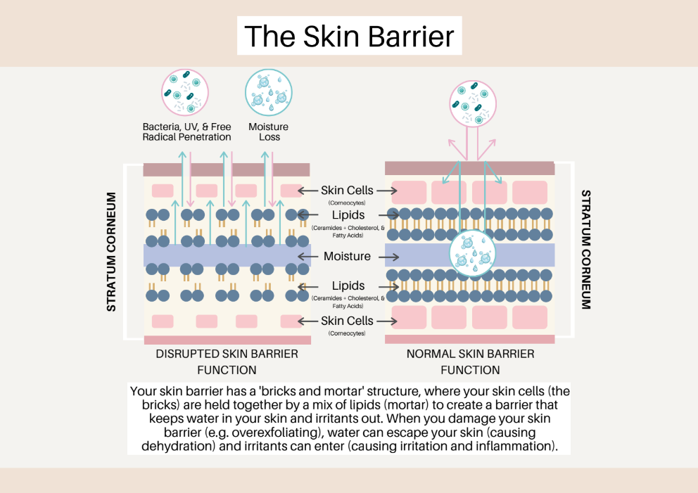 Your Skin's Secret Superhero: Why Barrier Health Should Be Your #1 Priority (And How Sheet Masks Can Save the Day)